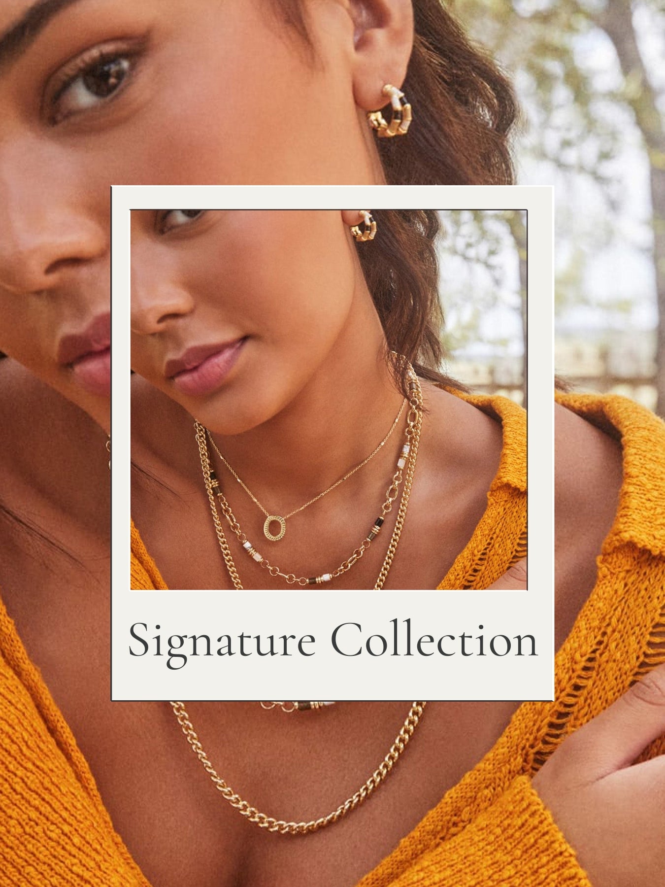 Signature Collection